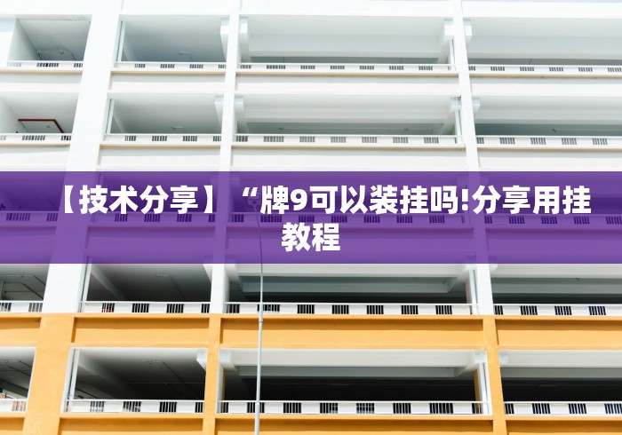 【技术分享】“牌9可以装挂吗!分享用挂教程
