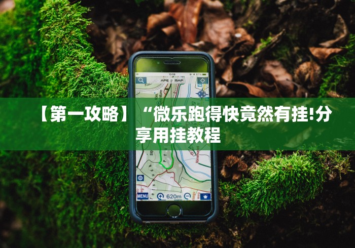 【第一攻略】“微乐跑得快竟然有挂!分享用挂教程