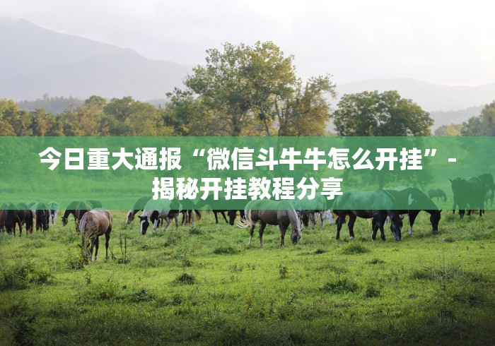 今日重大通报“微信斗牛牛怎么开挂”-揭秘开挂教程分享