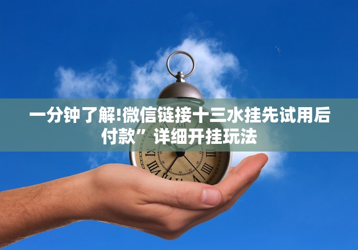 一分钟了解!微信链接十三水挂先试用后付款”详细开挂玩法