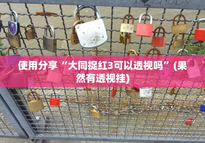 使用分享“大同捉红3可以透视吗”(果然有透视挂)