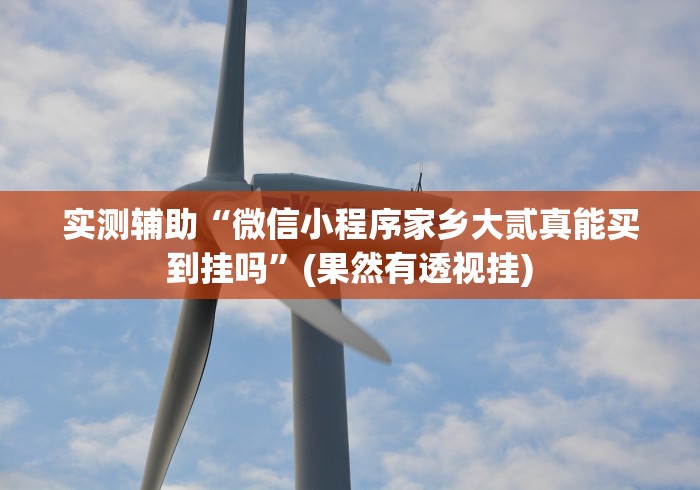 实测辅助“微信小程序家乡大贰真能买到挂吗”(果然有透视挂) 实测辅助“微信小程序家乡大贰真能买到挂吗”(果然有透视挂)