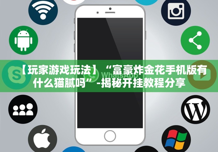 【玩家游戏玩法】“富豪炸金花手机版有什么猫腻吗”-揭秘开挂教程分享