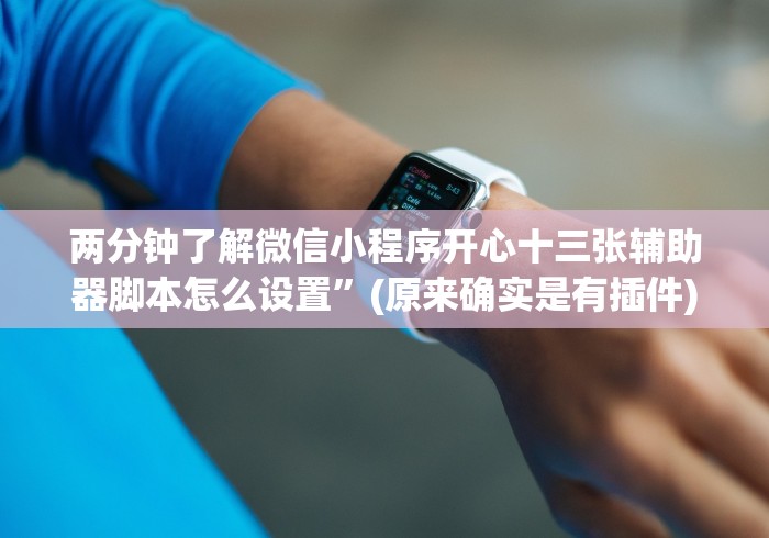 两分钟了解微信小程序开心十三张辅助器脚本怎么设置”(原来确实是有插件) 两分钟了解微信小程序开心十三张辅助器脚本怎么设置”(原来确实是有插件)