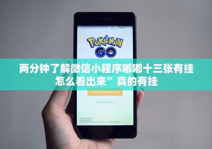 两分钟了解微信小程序嘟嘟十三张有挂怎么看出来”真的有挂 两分钟了解微信小程序嘟嘟十三张有挂怎么看出来”真的有挂