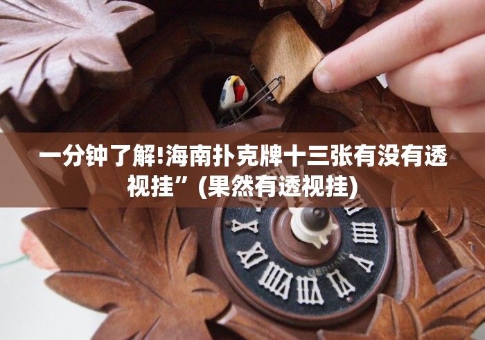 一分钟了解!海南扑克牌十三张有没有透视挂”(果然有透视挂)