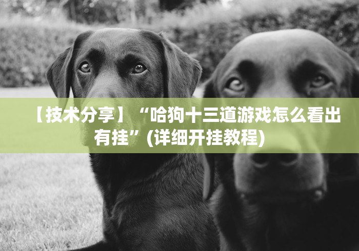 【技术分享】“哈狗十三道游戏怎么看出有挂”(详细开挂教程)