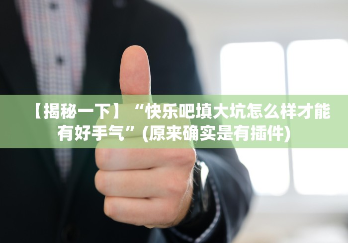 【揭秘一下】“快乐吧填大坑怎么样才能有好手气”(原来确实是有插件)