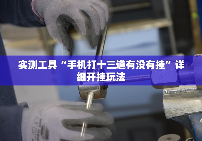 实测工具“手机打十三道有没有挂”详细开挂玩法