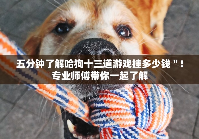 五分钟了解哈狗十三道游戏挂多少钱＂!专业师傅带你一起了解