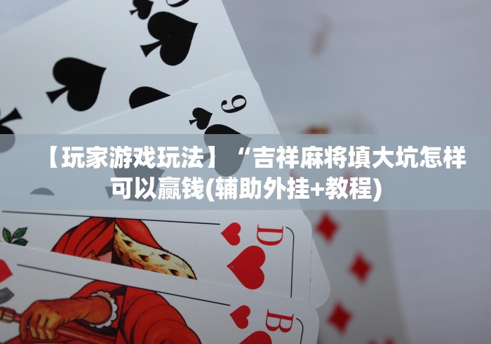 【玩家游戏玩法】“吉祥麻将填大坑怎样可以赢钱(辅助外挂+教程)