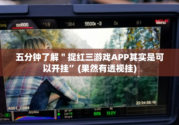 五分钟了解＂捉红三游戏APP其实是可以开挂”(果然有透视挂)