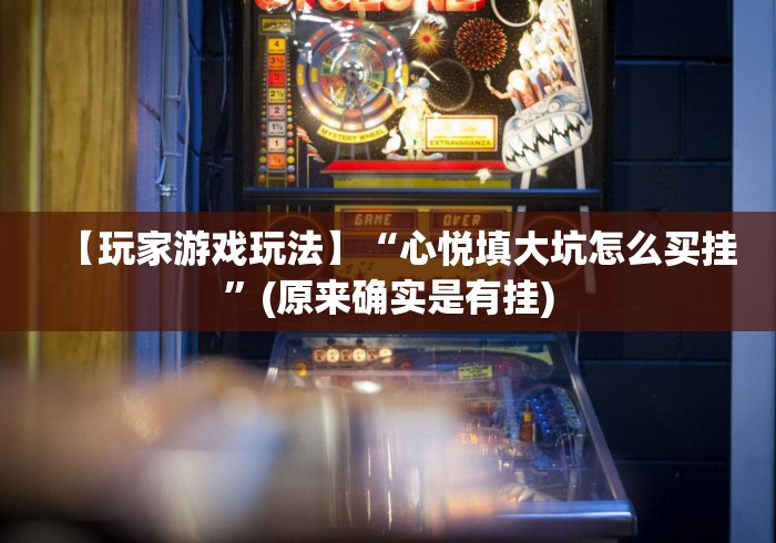 【玩家游戏玩法】“心悦填大坑怎么买挂”(原来确实是有挂)