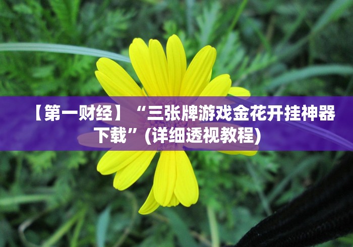 【第一财经】“三张牌游戏金花开挂神器下载”(详细透视教程)