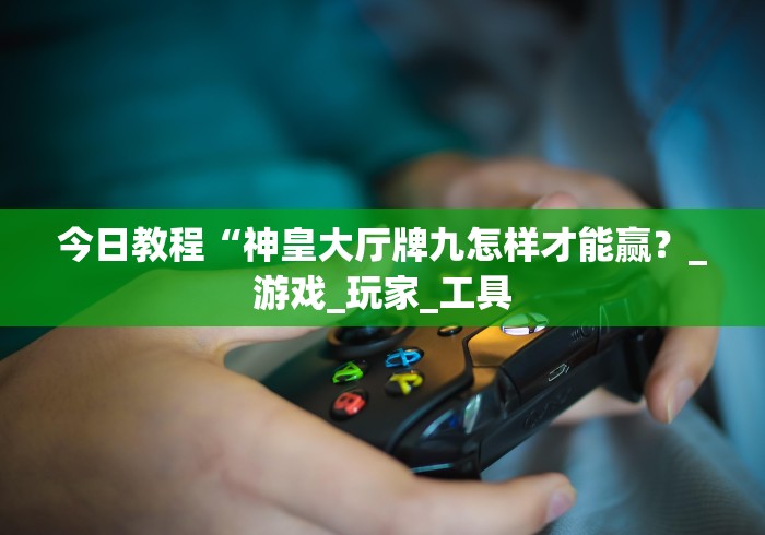 今日教程“神皇大厅牌九怎样才能赢？_游戏_玩家_工具