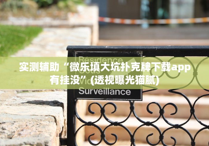 实测辅助“微乐填大坑扑克牌下载app有挂没”(透视曝光猫腻)