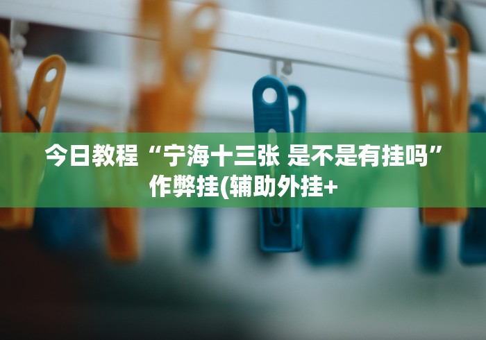 今日教程“宁海十三张 是不是有挂吗”作弊挂(辅助外挂+