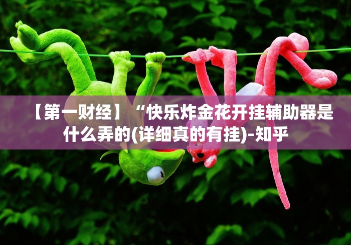 【第一财经】“快乐炸金花开挂辅助器是什么弄的(详细真的有挂)-知乎