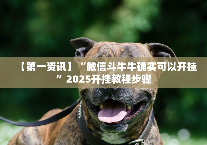 【第一资讯】“微信斗牛牛确实可以开挂”2025开挂教程步骤